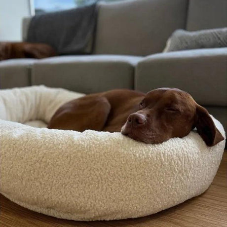 The Ultimate Comfort: Discovering the Magic of Pet Donut Calming Beds
