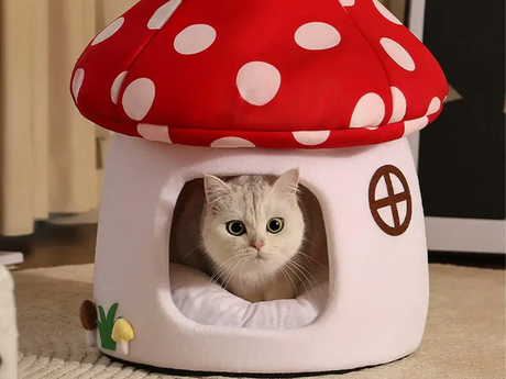 Gray cat sitting inside a mushroom-shaped enclosed cat bed with red and white polka dot roof