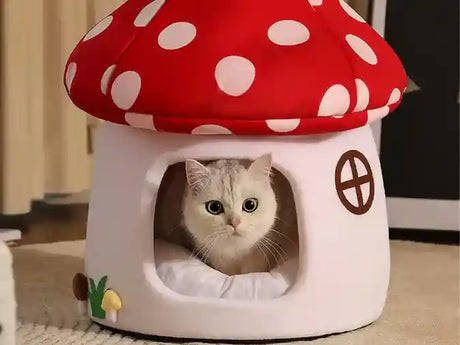 Gray cat sitting inside a mushroom-shaped enclosed cat bed with red and white polka dot roof