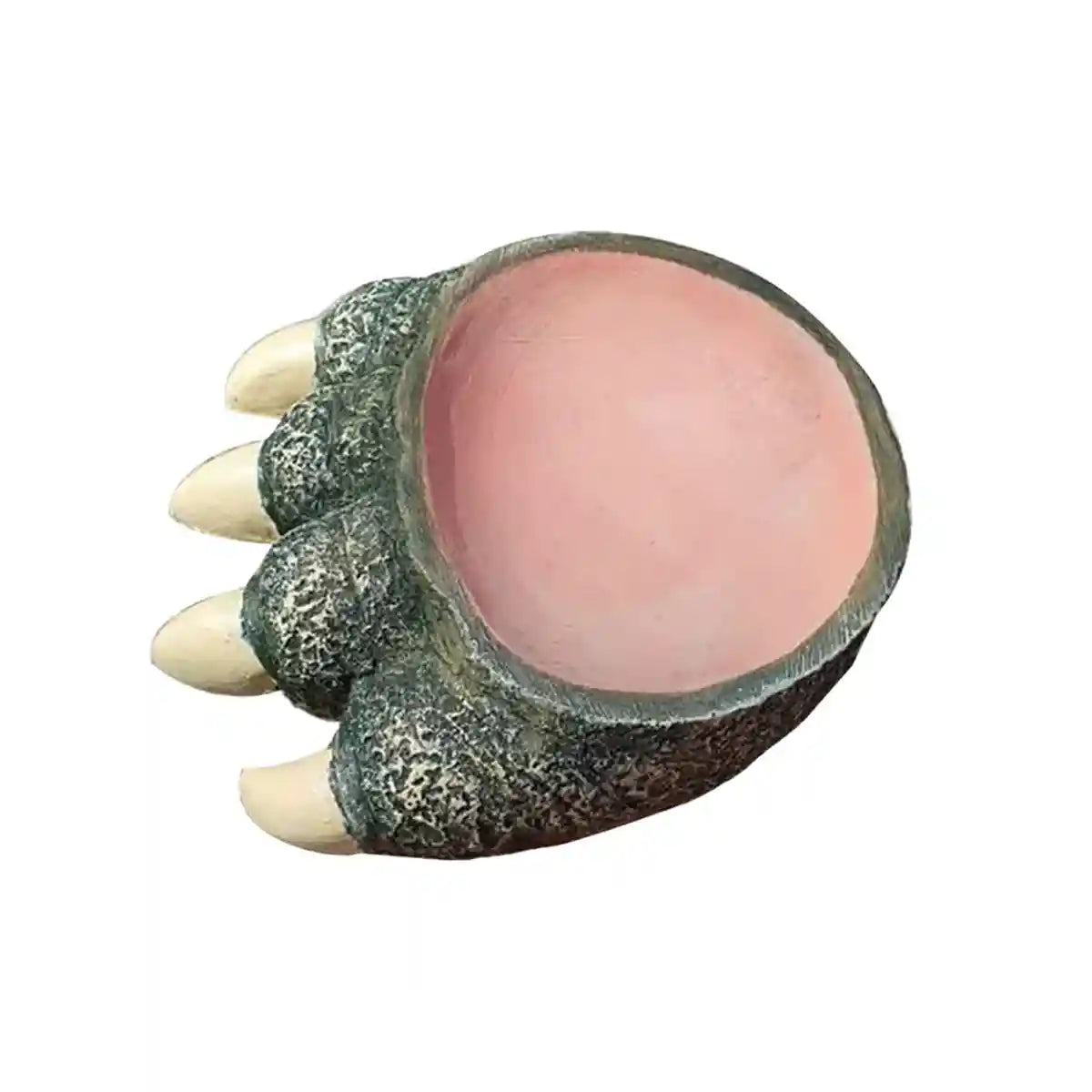 Dinosaur Claw Reptile Water Dish