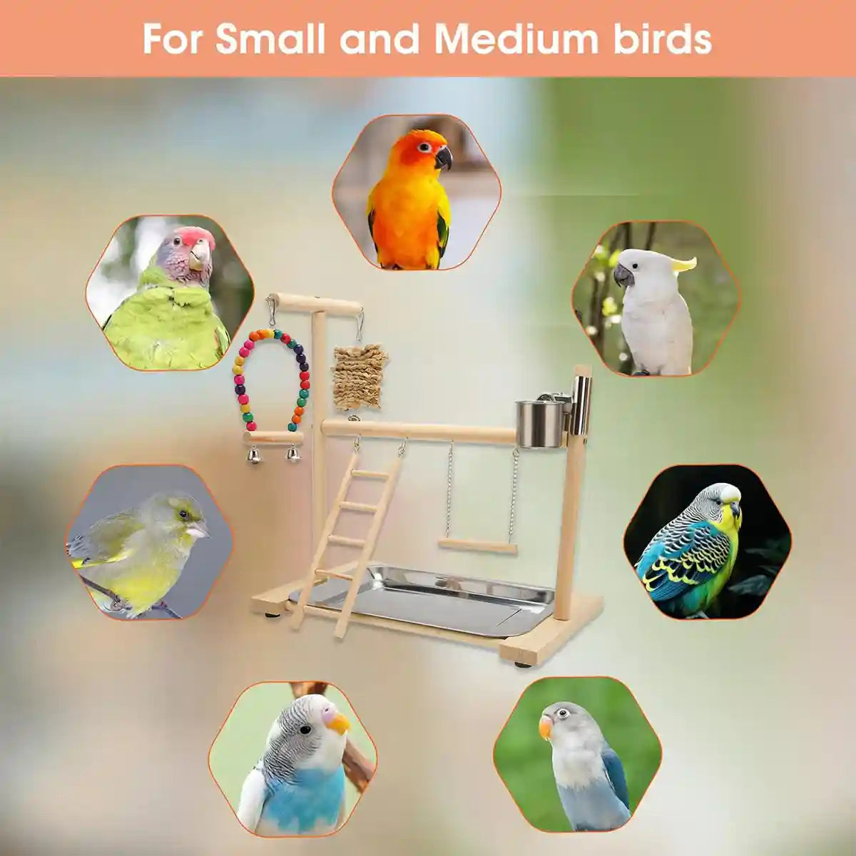 Wooden Parrot Playground With Swing Ladder Feeder And Perch