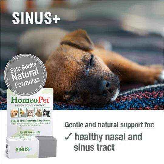 HomeoPet SINUS+ 15ML