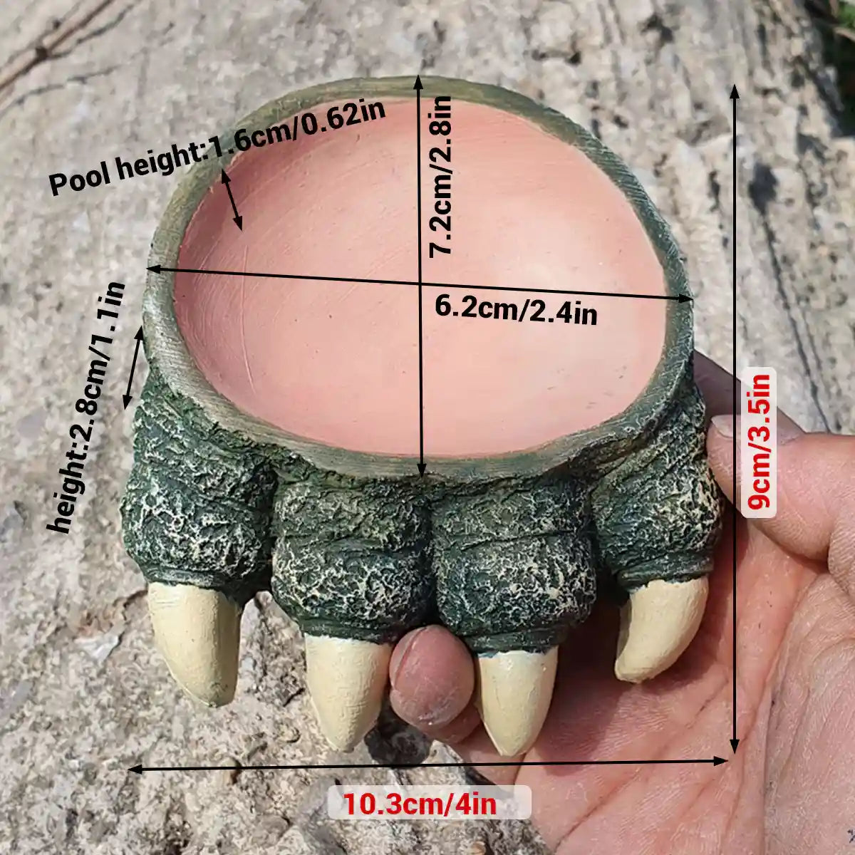 Dinosaur Claw Reptile Water Dish
