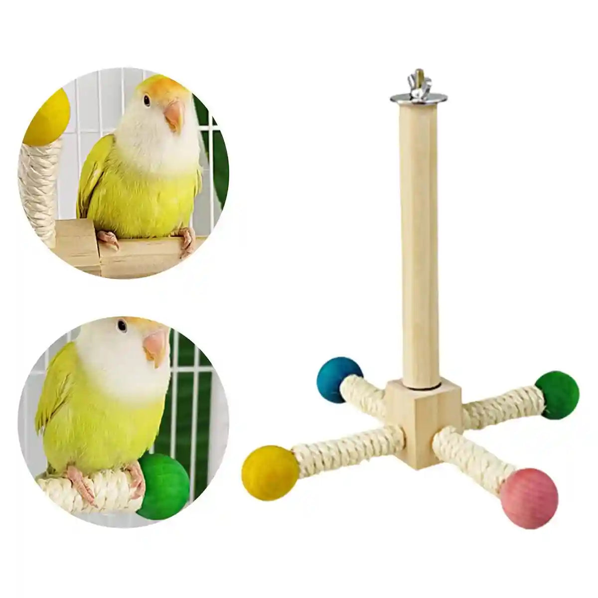 360° Rotating Bird Stand with Silent Bearings for Parrots and Budgies