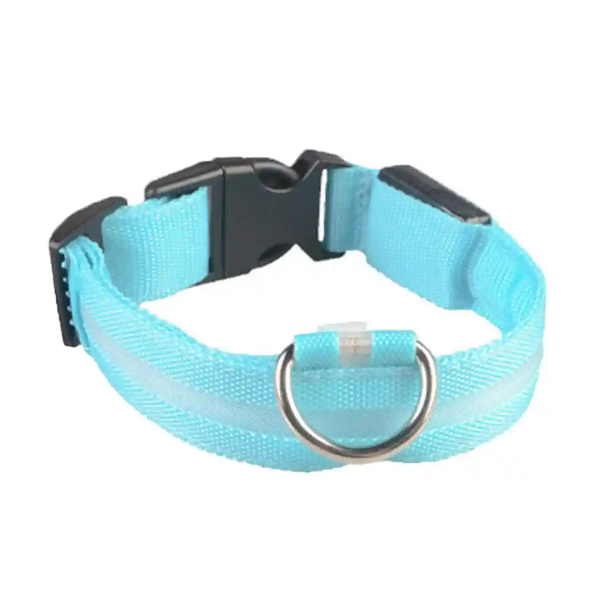 USB Rechargeable Light Up Dog Collar Glow in the Dark Safety for Night Walks