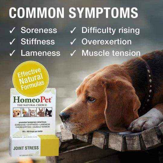 HomeoPet Joint Stress 15ml