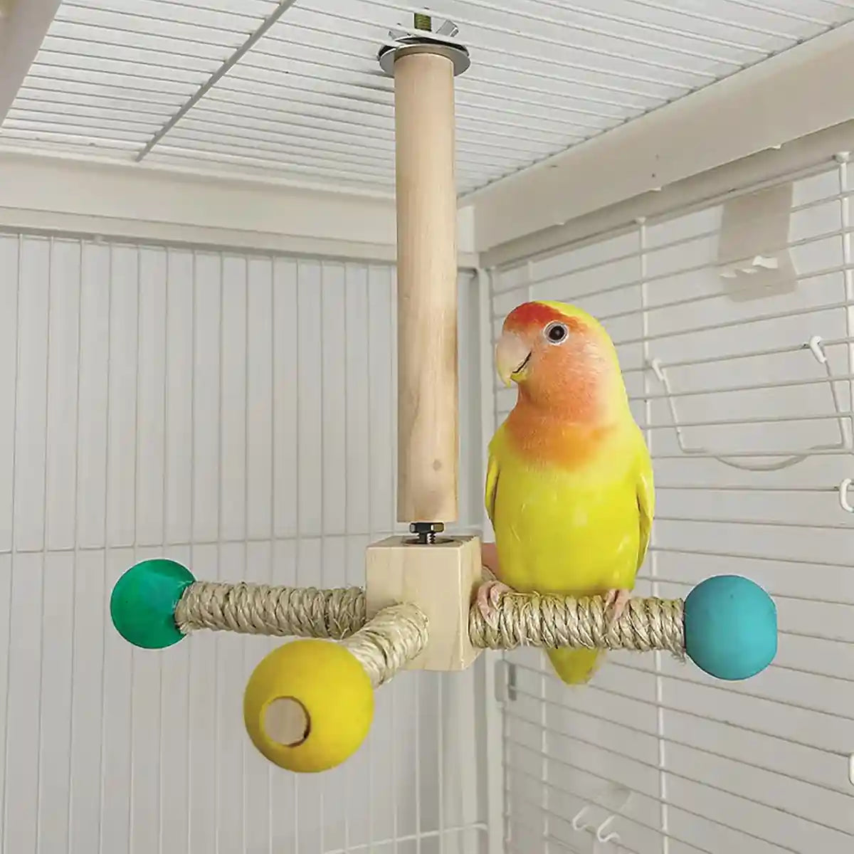 360° Rotating Bird Stand with Silent Bearings for Parrots and Budgies