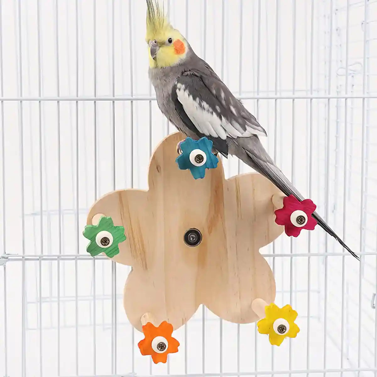 Rotatable Ferris Wheel Parrot Toy for Cage Play and Chewing