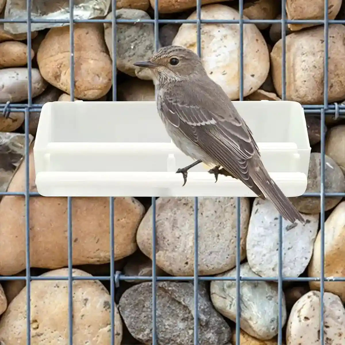 Large Hanging Bird Feeder And Water Bowl Set For Small Birds