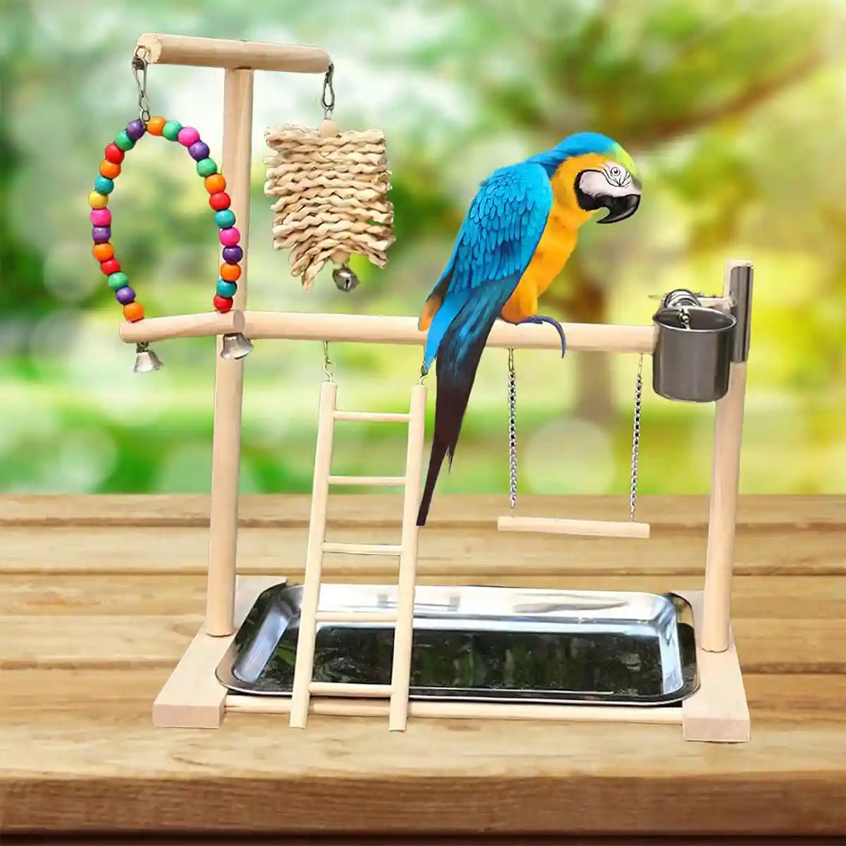 Wooden Parrot Playground With Swing Ladder Feeder And Perch