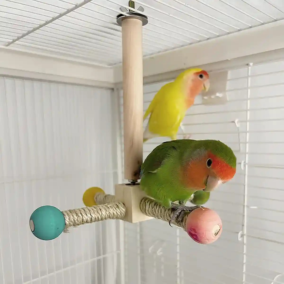 360° Rotating Bird Stand with Silent Bearings for Parrots and Budgies