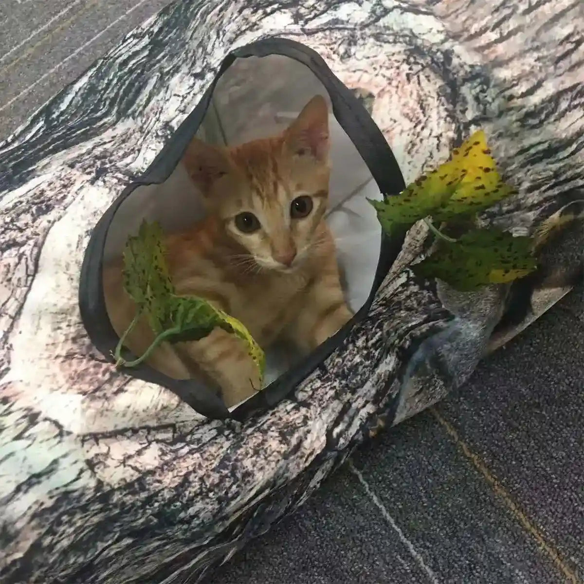 Y-Shaped Tree Trunk Cat Tunnel for Indoor & Outdoor Pet Play
