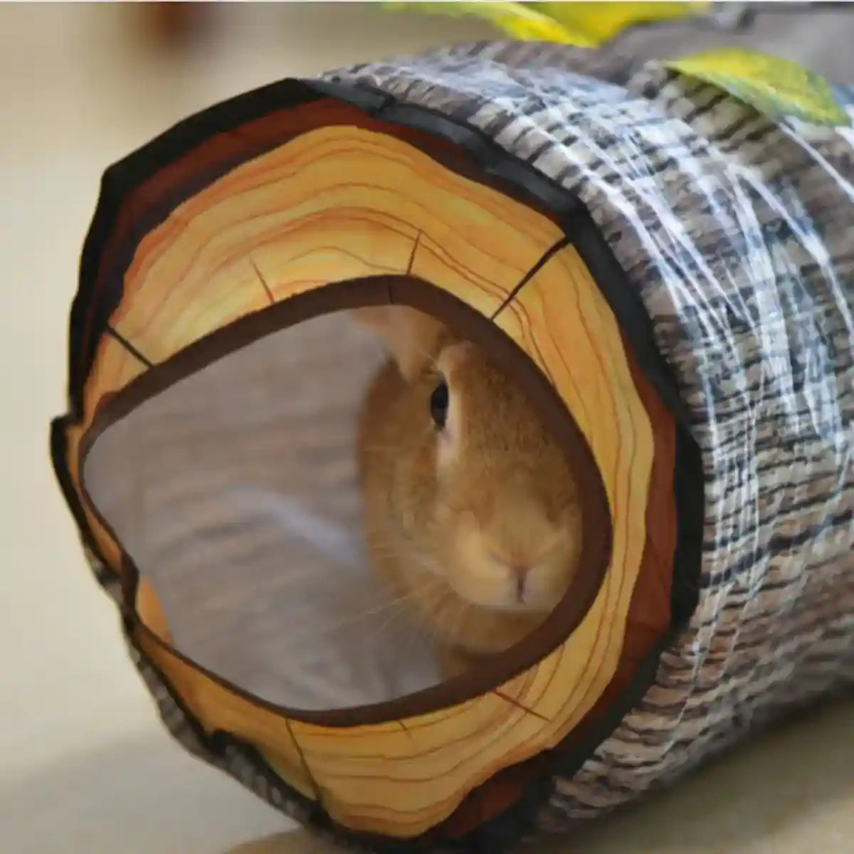 Y-Shaped Tree Trunk Cat Tunnel for Indoor & Outdoor Pet Play