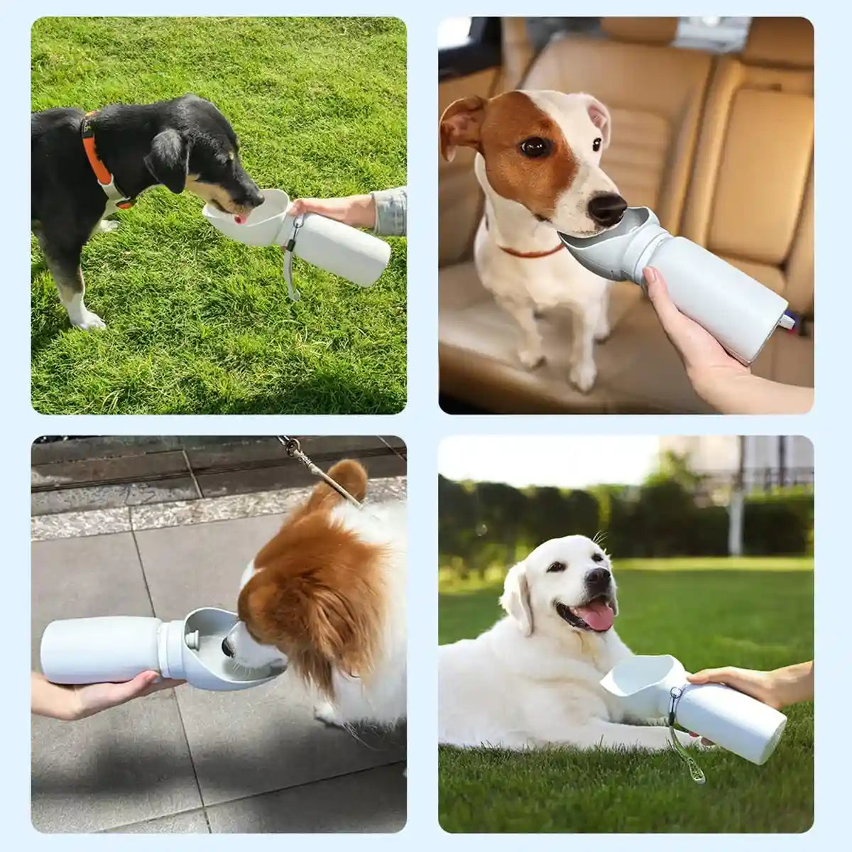 Foldable Dog Water Bottle 550ml Leakproof Pet Travel Dispenser