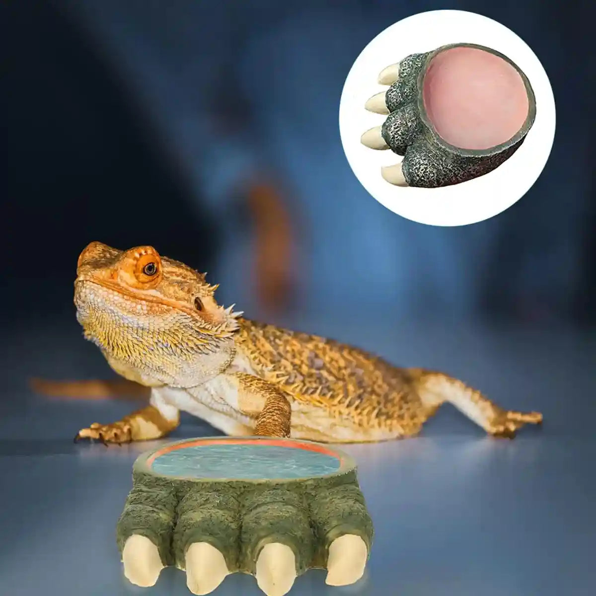 Dinosaur Claw Reptile Water Dish