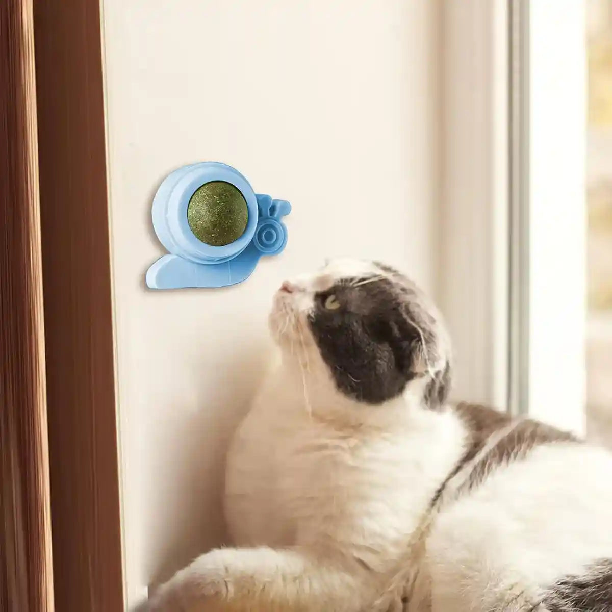 Snail Shape Catnip Toy Set With Adhesive Back and Mint Ball