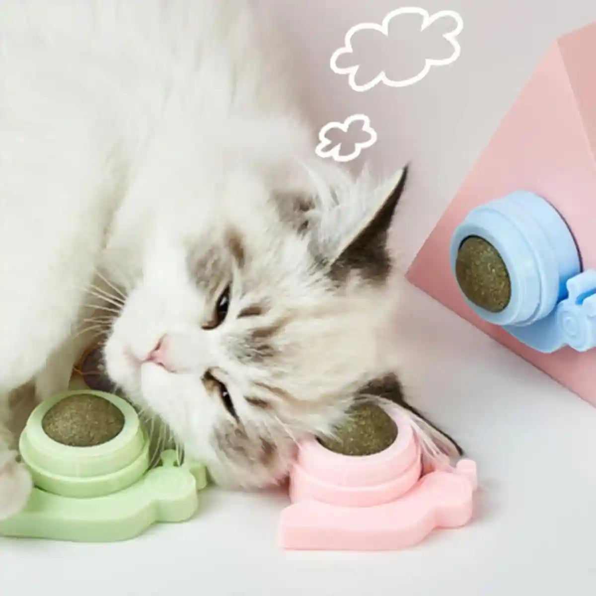 Snail Shape Catnip Toy Set With Adhesive Back and Mint Ball