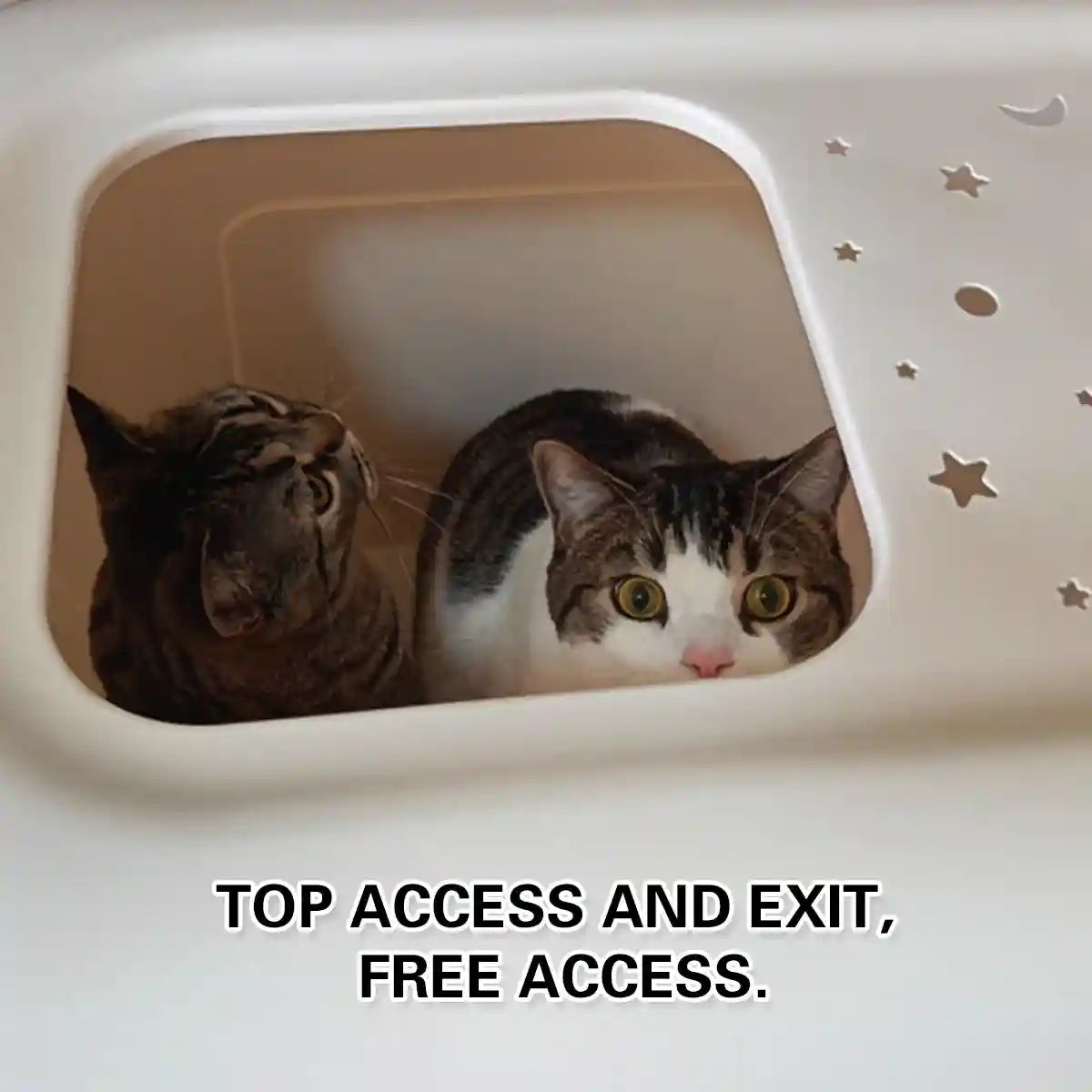 Spacious Enclosed Cat Litter Box With Dual Entry & Scoop