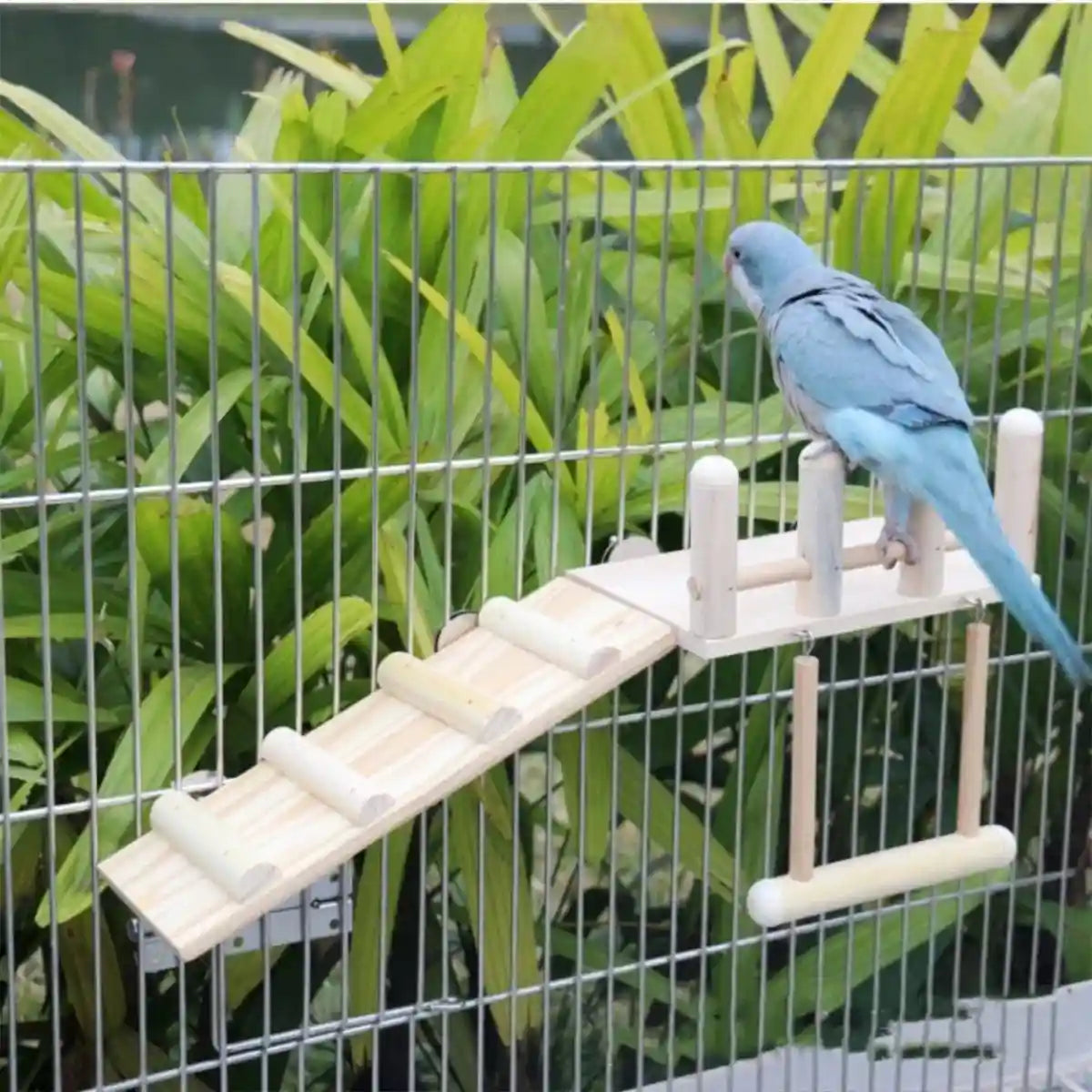 3PCS Wooden Bird Toys Set With Swing Ladder and Platform