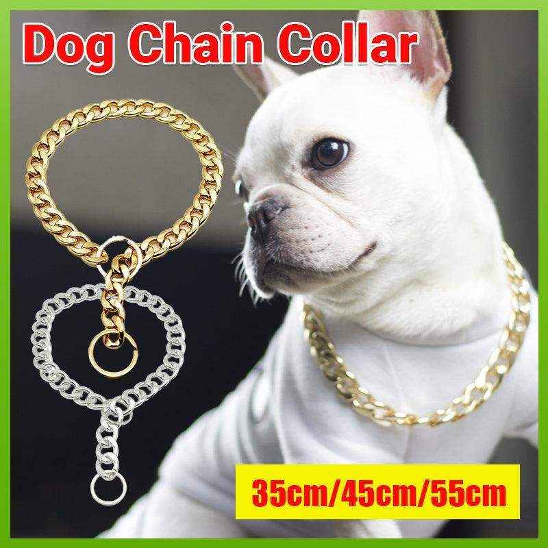Chain dog collar for training and show, water-resistant, adjustable.