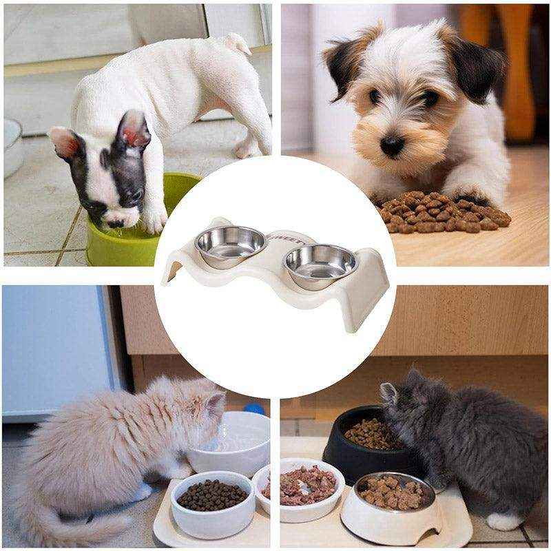 Modern Double Feeder with Elevated Pet Bowl Design for Cats and Small Dogs