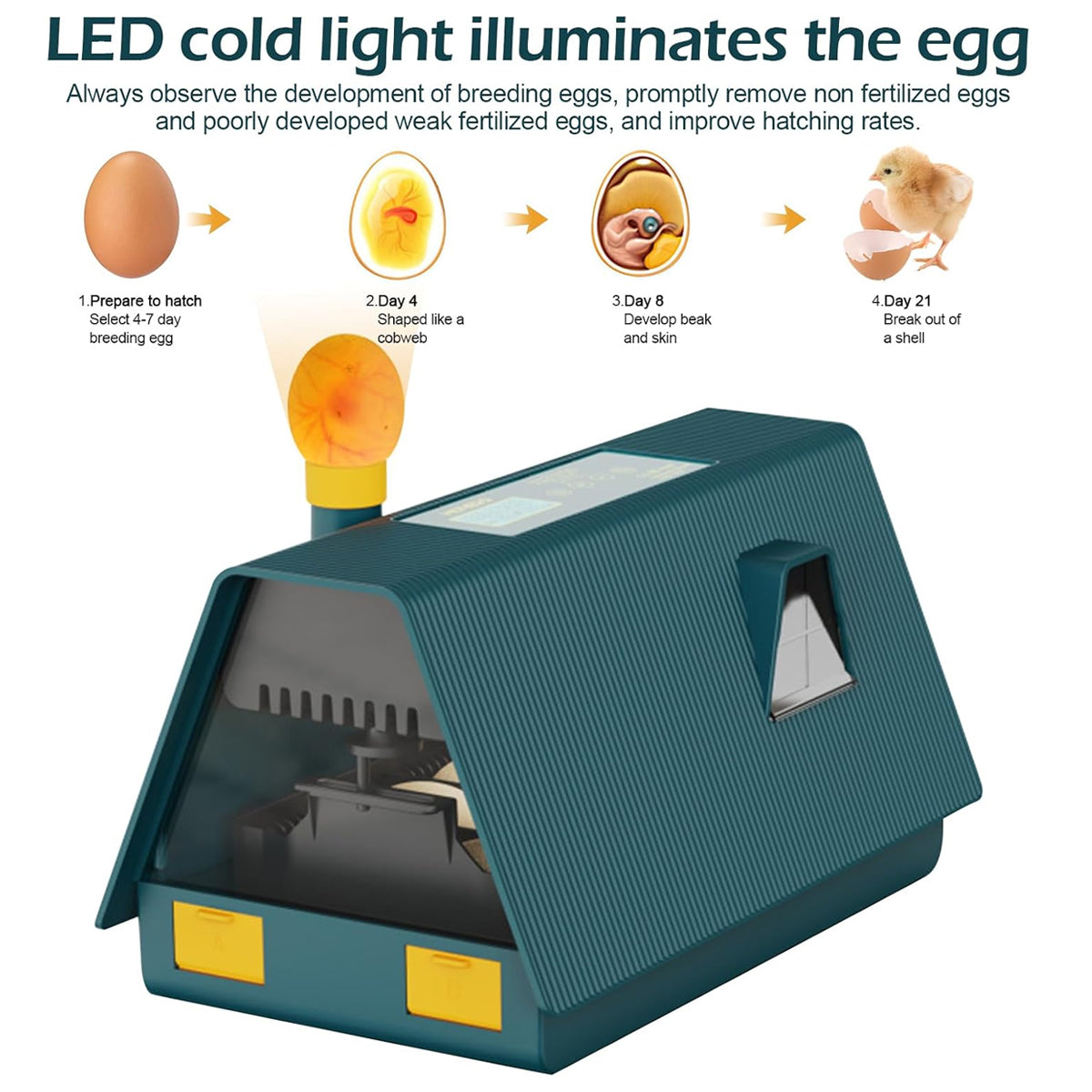 Smart 10 Egg Incubator With Automatic Turning & LED Candling