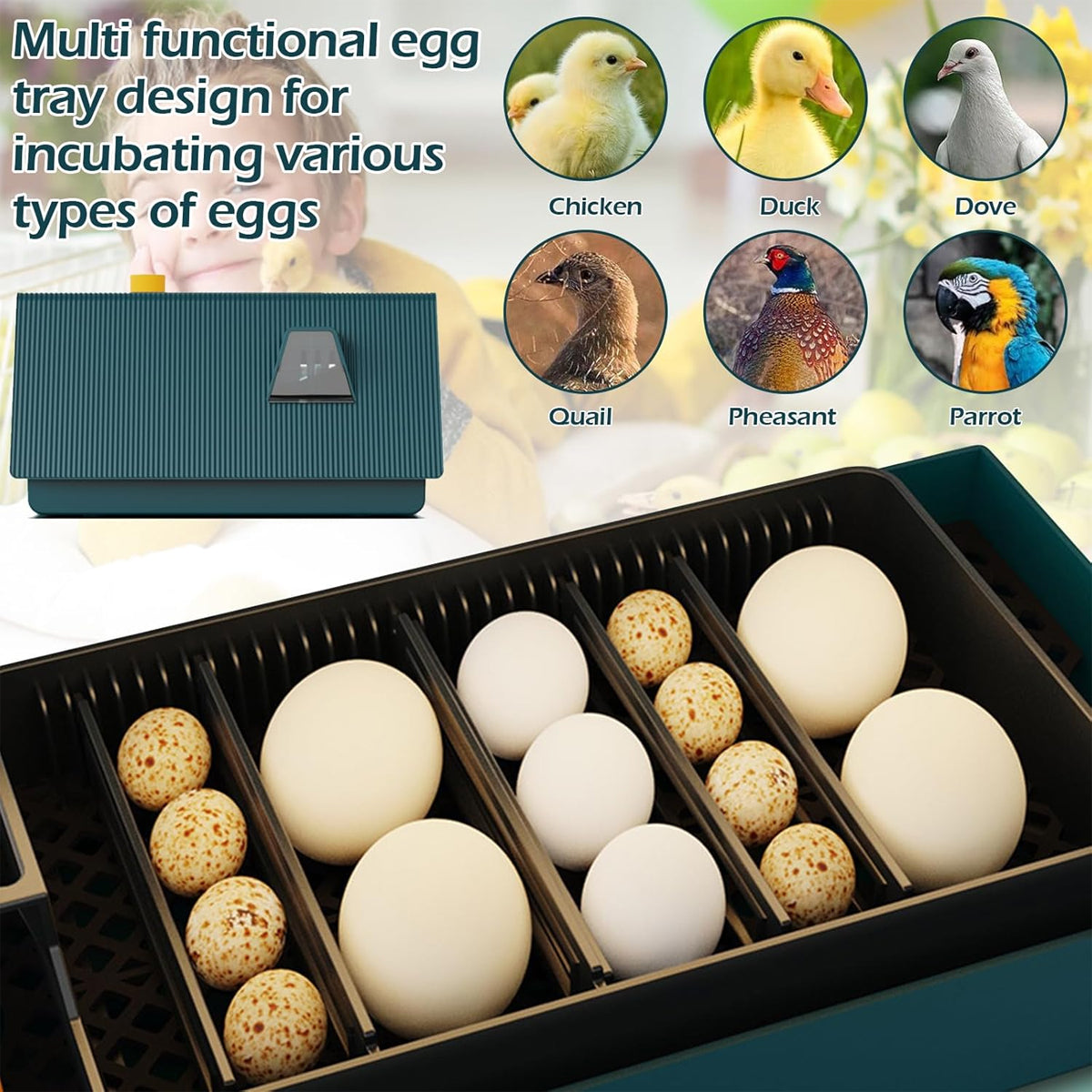 Smart 10 Egg Incubator With Automatic Turning & LED Candling
