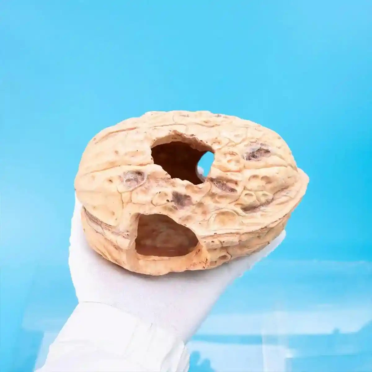 Walnut Reptile Hideout Cave for Lizards and Small Pets