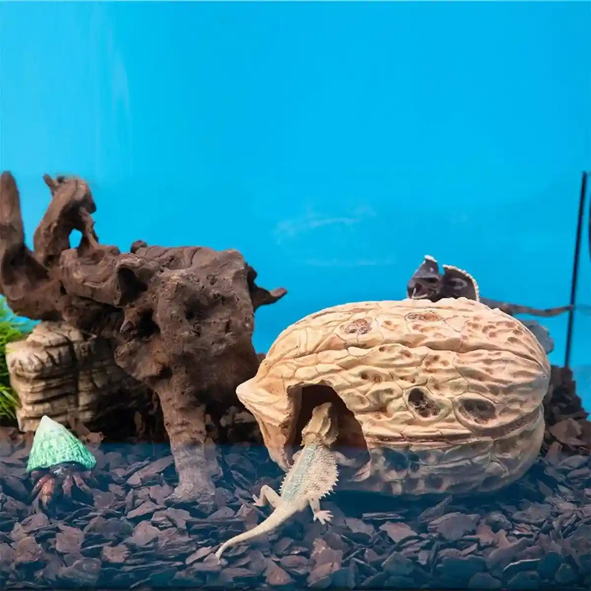 Walnut Reptile Hideout Cave for Lizards and Small Pets