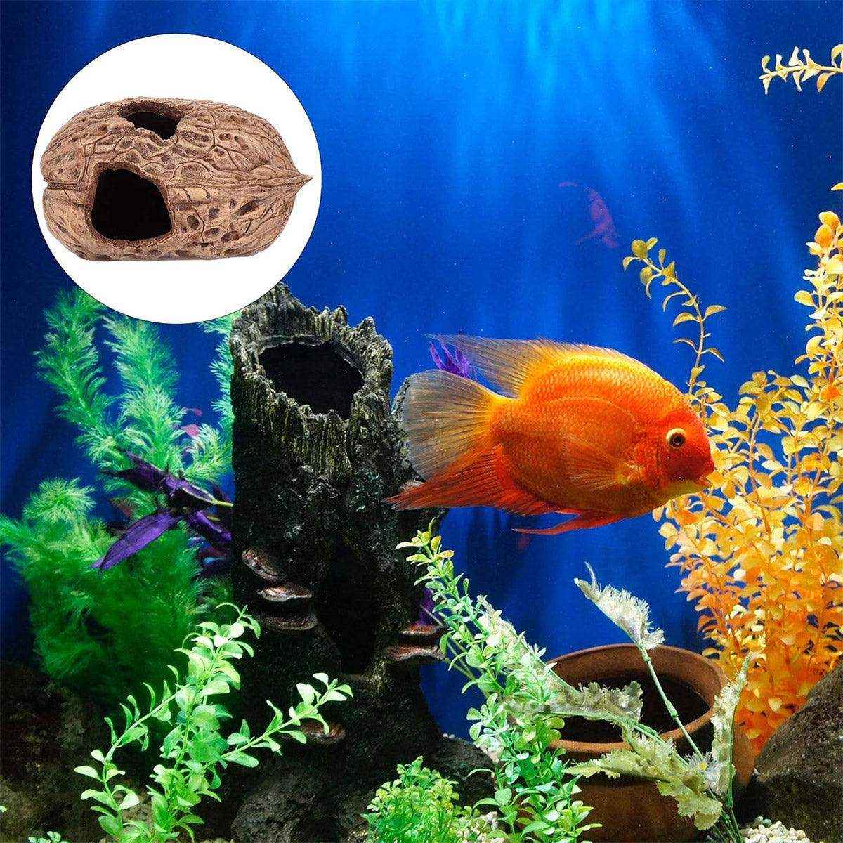 Walnut Reptile Hideout Cave for Lizards and Small Pets