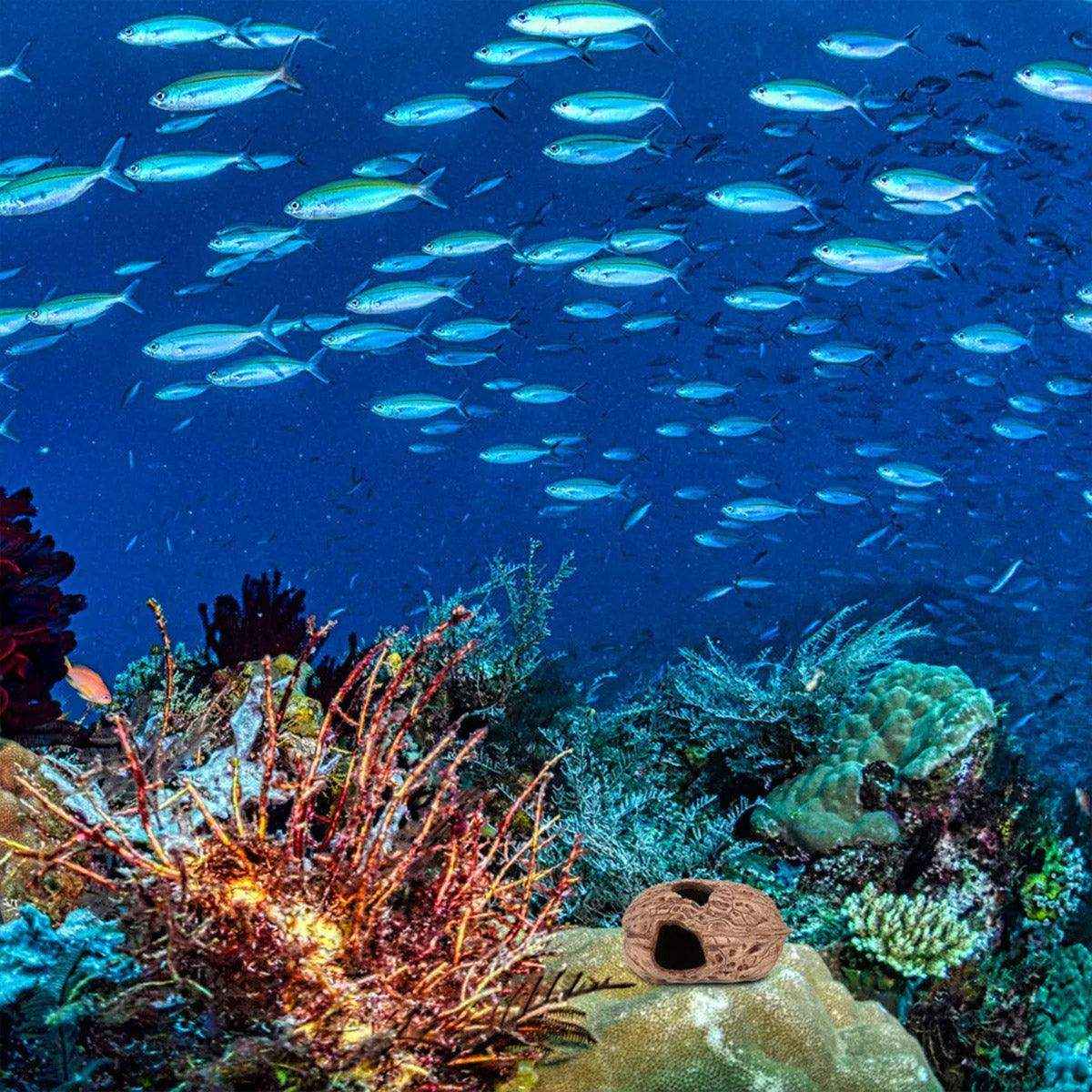 Walnut Reptile Hideout Cave for Lizards and Small Pets