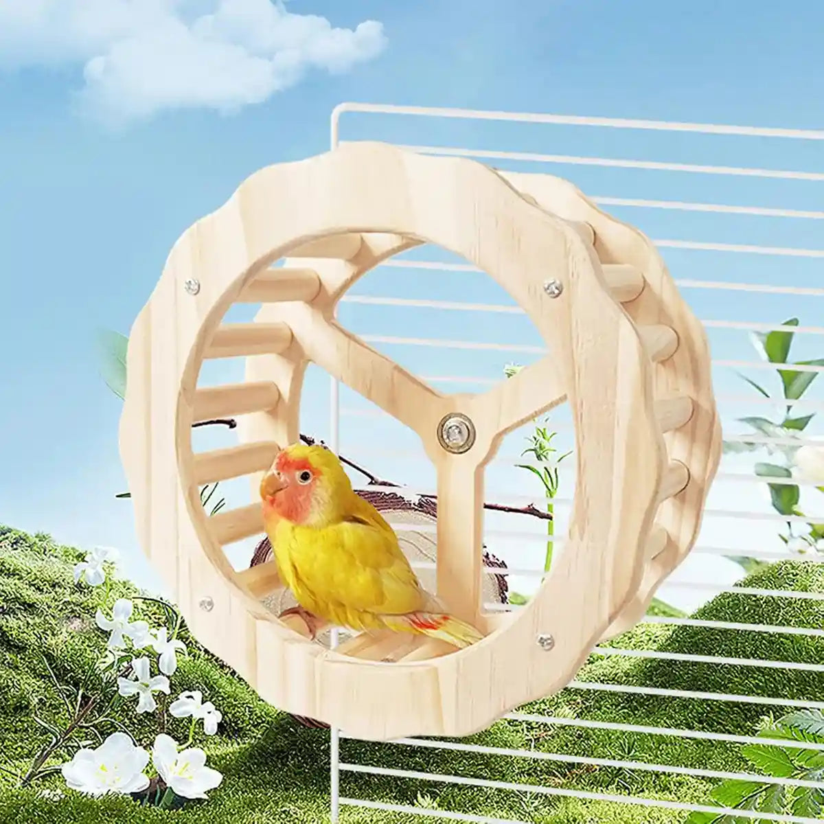 Wooden Parrot Toy Set with Spinning Wheel & Rocker for Cage Mounting