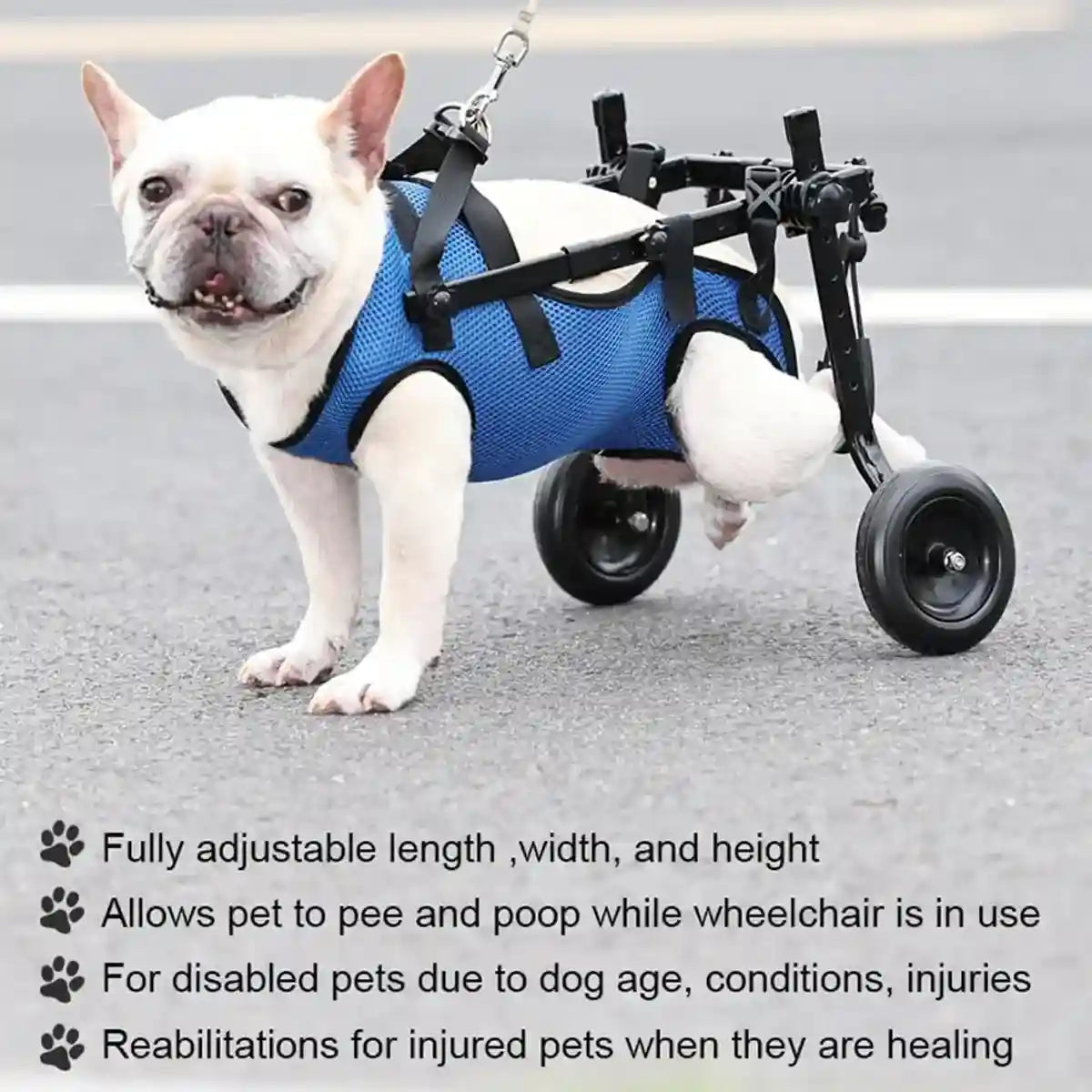 Adjustable Pet Wheelchair for Disabled Dogs and Cats (5.5–10kg)