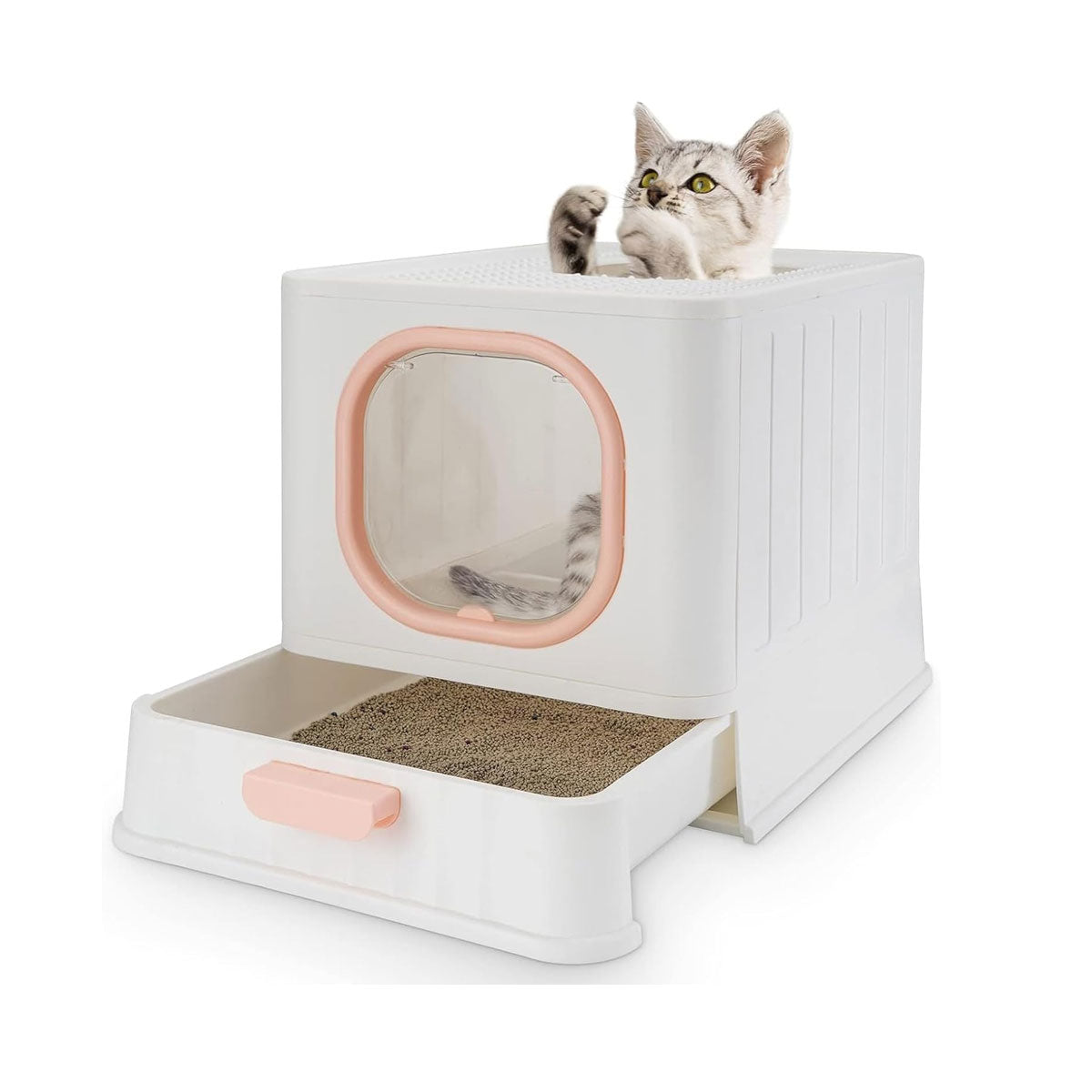 Enclosed Cat Litter Box With Pull-Out Tray