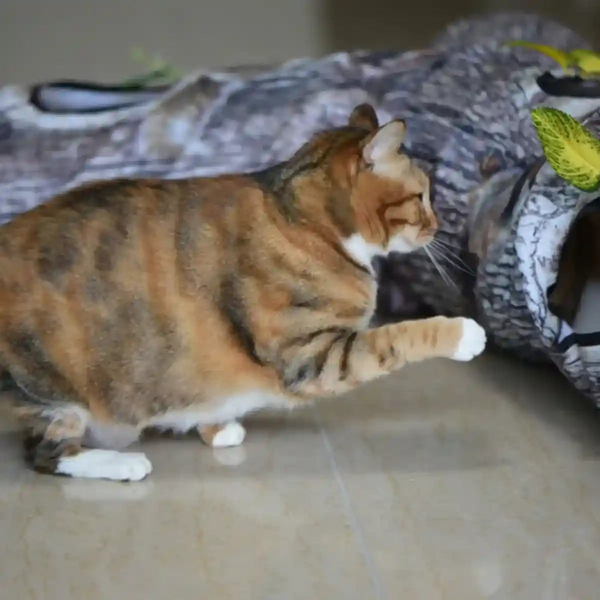 Y-Shaped Tree Trunk Cat Tunnel for Indoor & Outdoor Pet Play