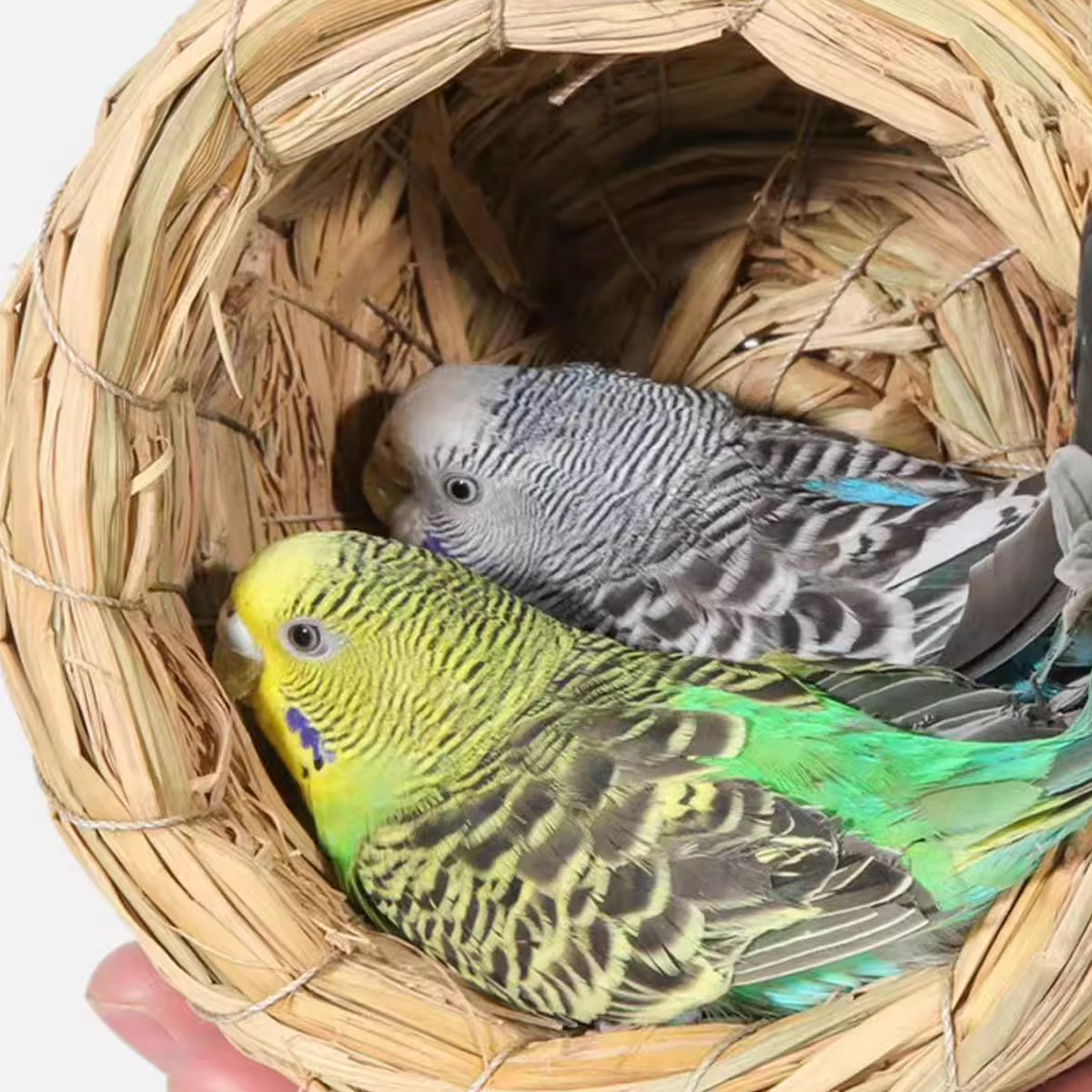 6PCS Handwoven Straw Bird Nest 12cm Natural Grass