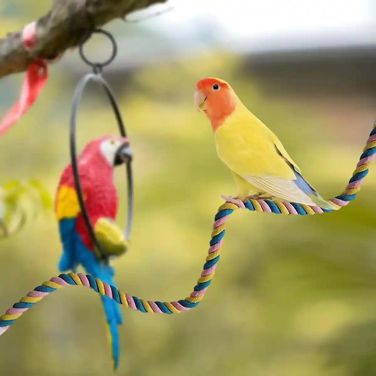 U-Shaped Parrot Climbing Rope Perch Flexible Bird Cage Toy