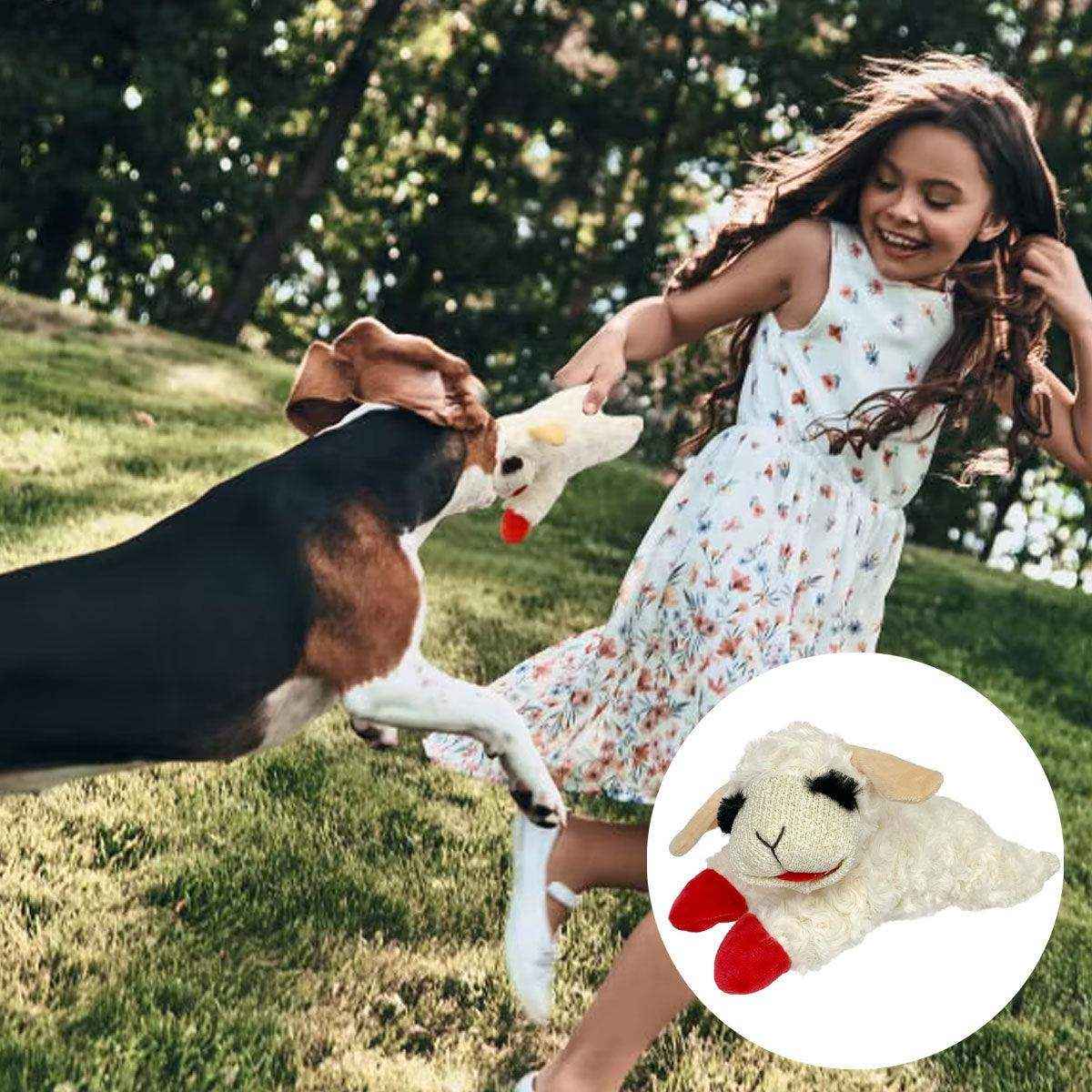 Soft Plush Dog Toy with Squeaker Chew & Interactive Play