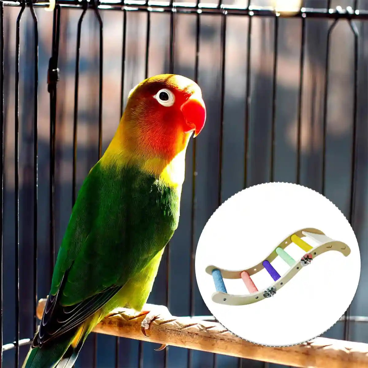 Parrot Climbing Ladder Toy for Birds Claw Care & Swing Platform