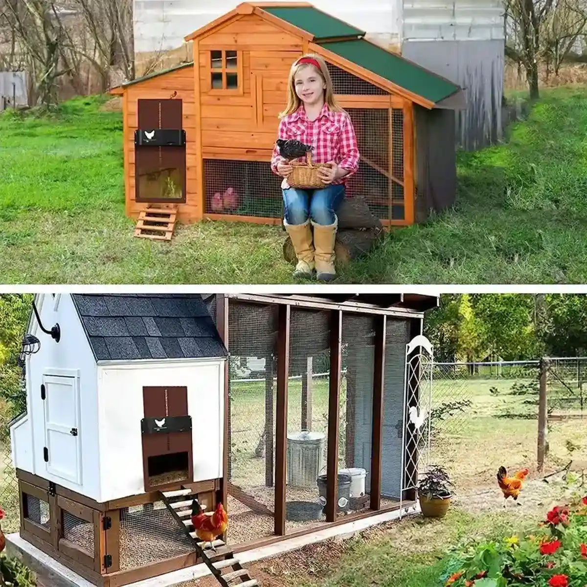 Light Sensor Automatic Chicken Coop Door Battery Powered & Waterproof