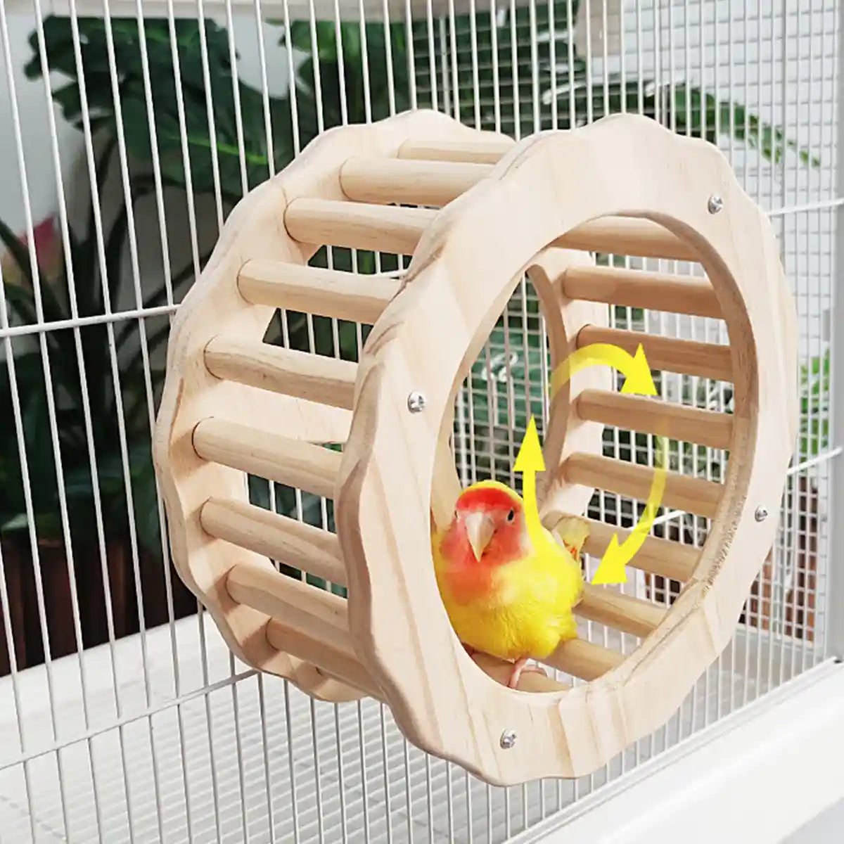 Wooden Parrot Toy Set with Spinning Wheel & Rocker for Cage Mounting