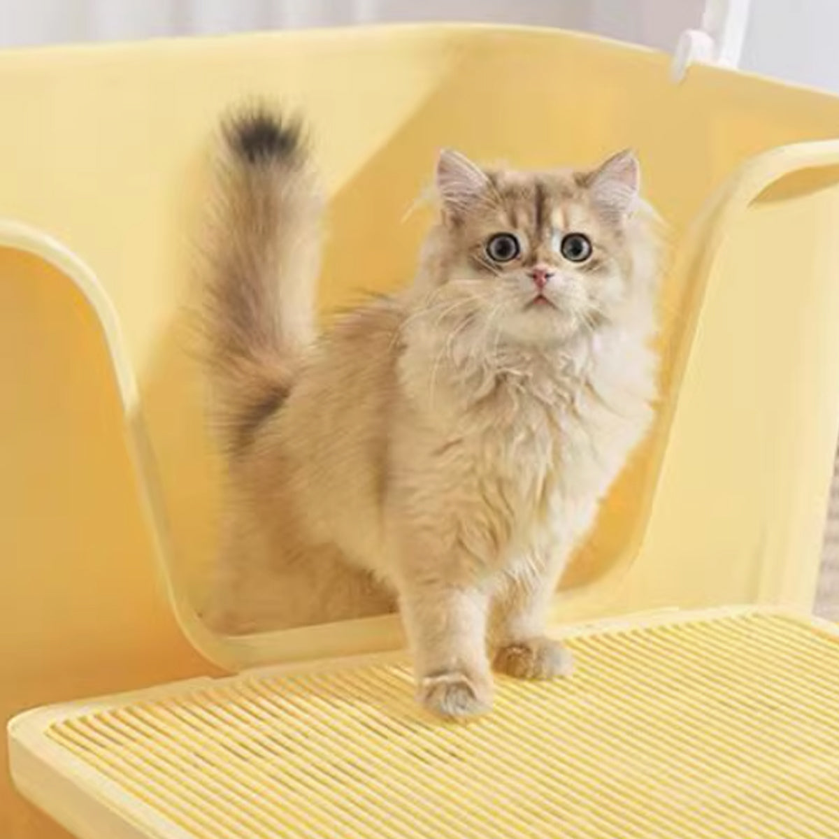 Double Layer Cat Litter Mat With Deep Tray Design
