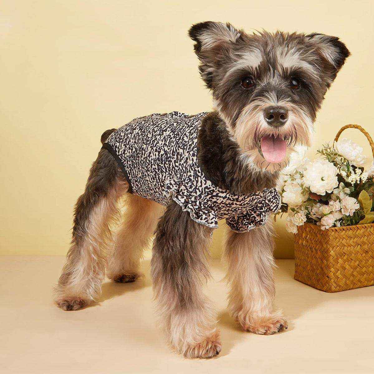 Dog Recovery Suit Post-Surgery Sterilization Clothing for Wound Protection