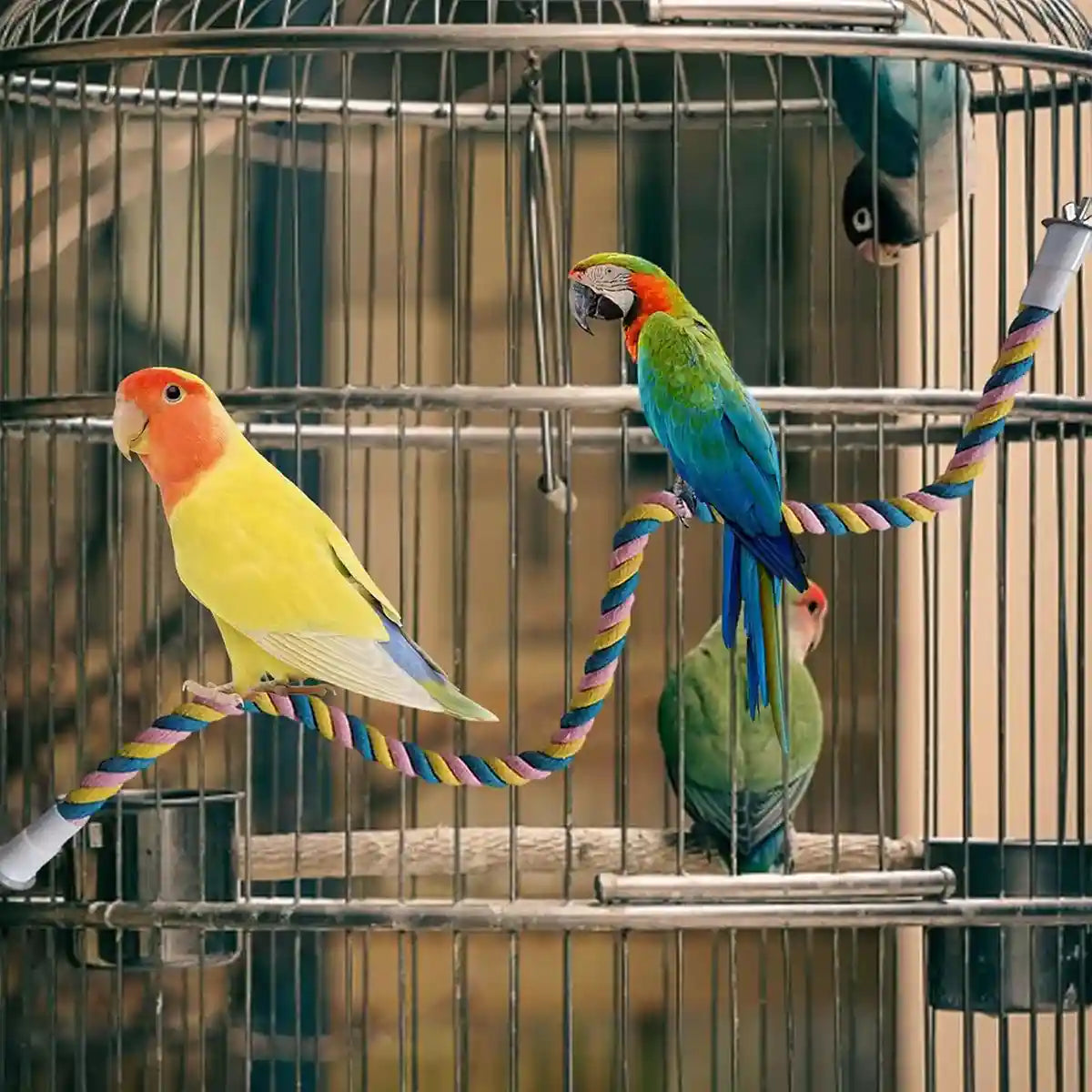 U-Shaped Parrot Climbing Rope Perch Flexible Bird Cage Toy