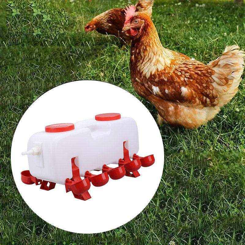 10L Chicken Poultry Automatic Drinking Tank Drinker Feeding Pot Water Dispenser