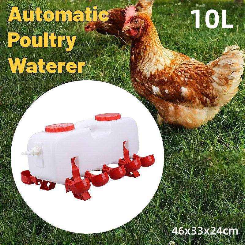 10L Chicken Poultry Automatic Drinking Tank Drinker Feeding Pot Water Dispenser