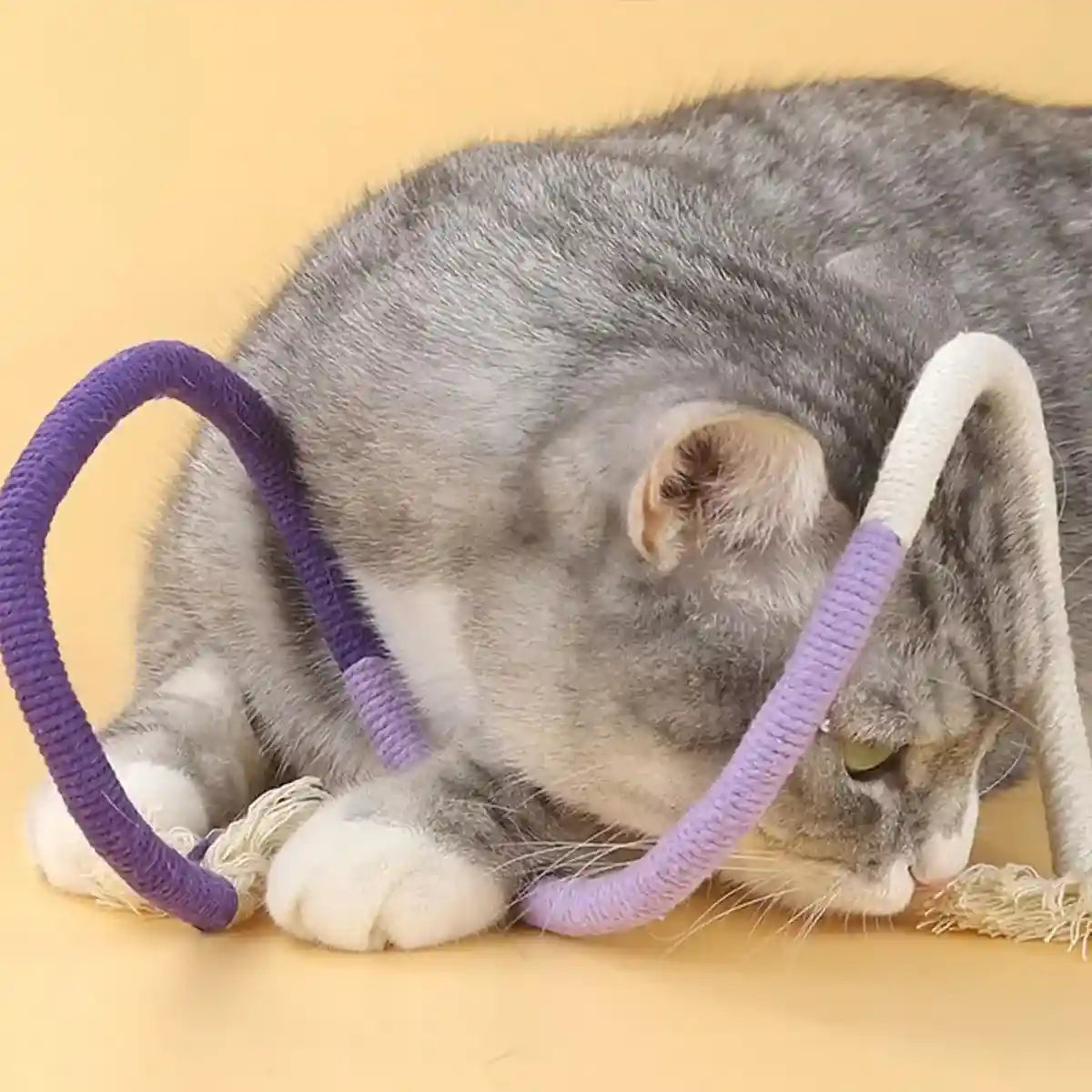 3PCS Interactive Chew & Scratch Toys with Cat Play Set for Indoor Fun