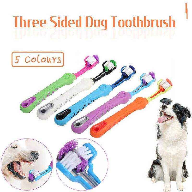 Three-Head Cleaning Tool for Pets with Soft Dog Toothbrush Design