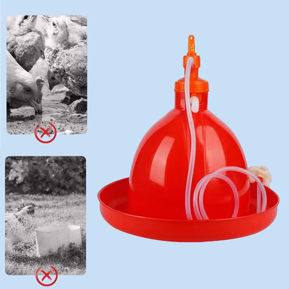 Automatic Poultry Waterer With Hose 40cm