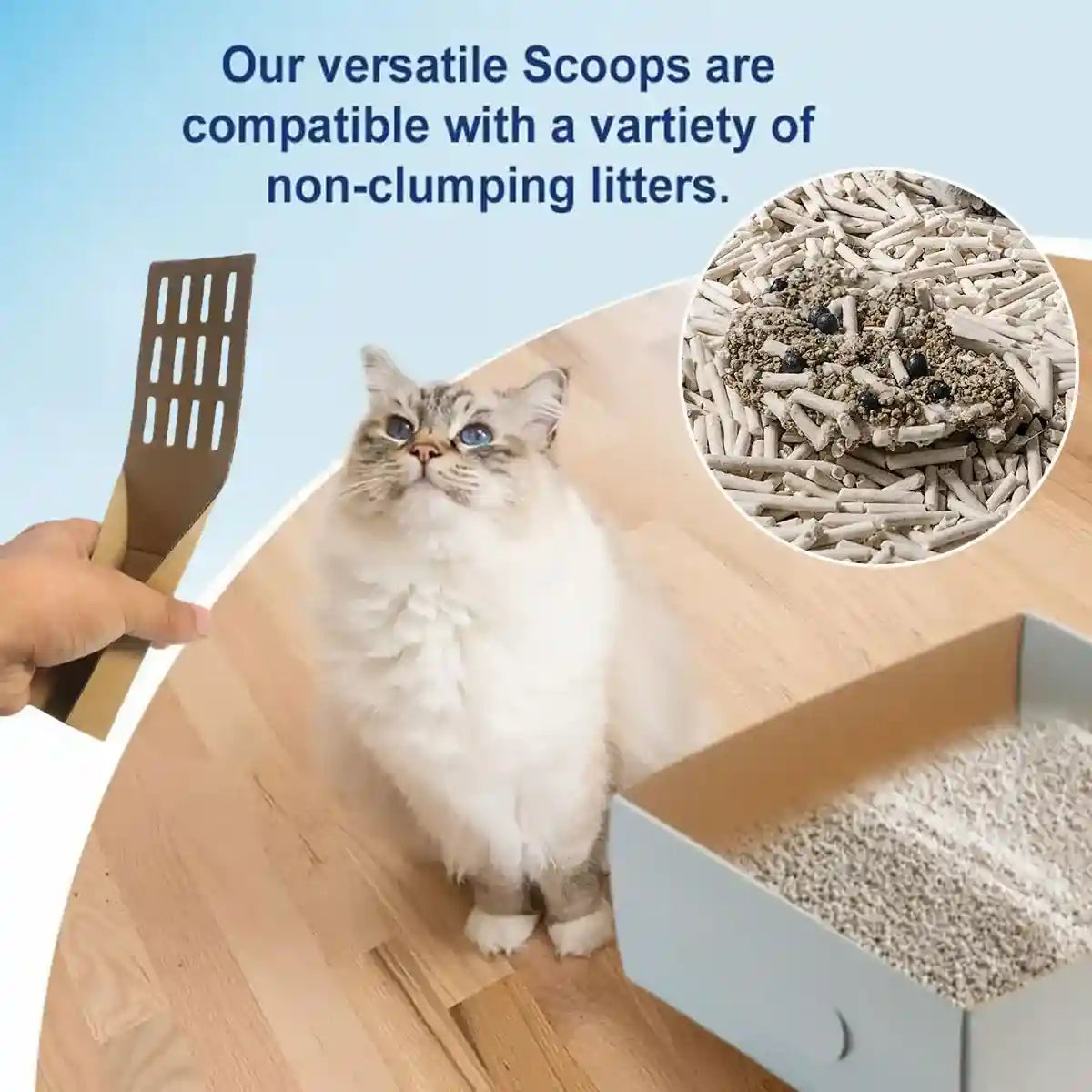 20PCS Disposable Cat Litter Scoops Biodegradable Cardboard Design